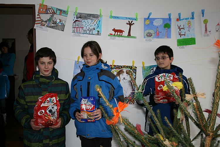 21. prosince 2012 se v českokrumlovském útulku konaly Psí Vánoce