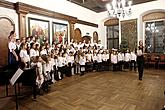 Bringing You the News - Concert by Brumlíci and their guests, Artistic Elementary School Český Krumlov, 19.12.2013, photo by: Lubor Mrázek