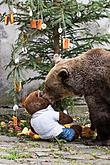 Medvědí vánoce, 24.12.2017, Advent a Vánoce v Českém Krumlově, foto: Lubor Mrázek
