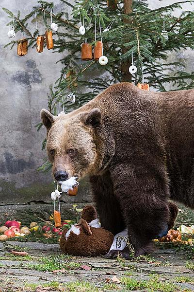 Medvědí vánoce, 24.12.2017, Advent a Vánoce v Českém Krumlově