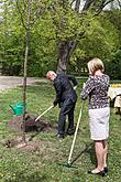 Baumpflanzen für Olga Havlová - Zauberhaftes Krumlov 1.5.2018, Foto: Lubor Mrázek