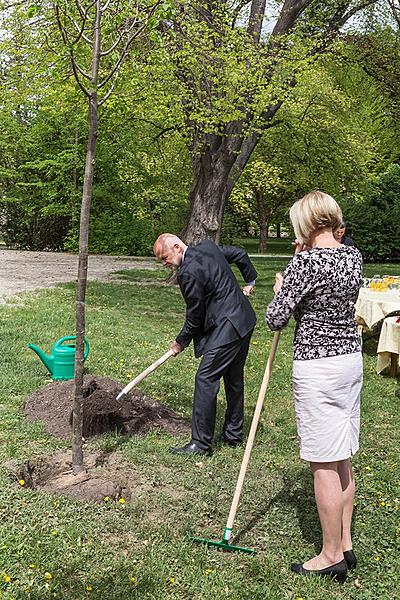 Baumpflanzen für Olga Havlová - Zauberhaftes Krumlov 1.5.2018