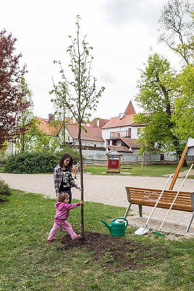 Baumpflanzen für Olga Havlová - Zauberhaftes Krumlov 1.5.2018