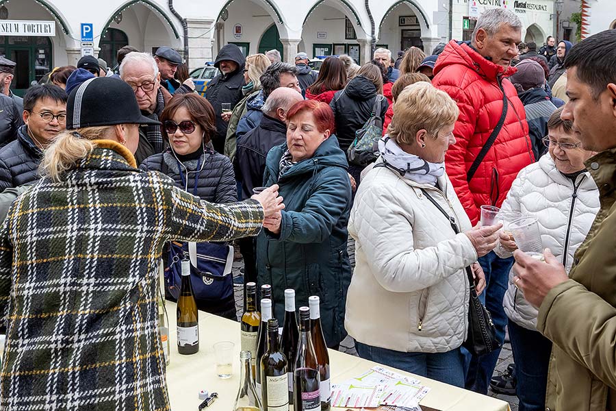 Příjezd sv. Martina a slavnostní otevření Svatomartinského vína, Festivalu vína Český Krumlov® 11.11.2019