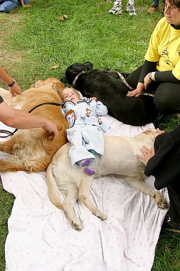 Ukázky práce asistenčních psů 'Pomocné tlapky' - Canisterapie, Den s handicapem, Český Krumlov 11. září 2004, foto: Lubor Mrázek