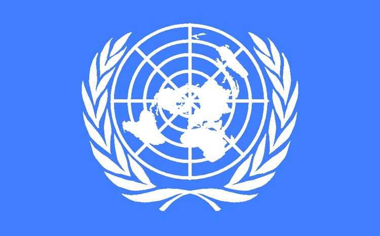 Organizace spojených národů, vlajka