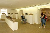 Prohlídka Egon Schiele Art Centra, Den s handicapem - Den bez bariér Český Krumlov, 10. září 2005, foto: © Lubor Mrázek 