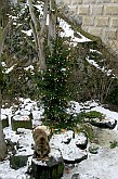 24. prosince - Medvědí vánoce, advent a vánoce 2005 v Českém Krumlově 