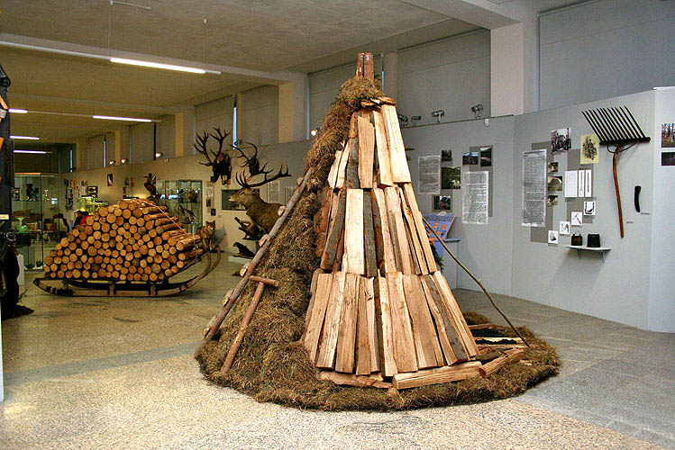 Výstava Šumava - tajemství, nostalgie, příběhy, vernisáž 1.3.3007, Národní zemědělské muzeum Praha, foto: © 2007 Petr Hudičák
