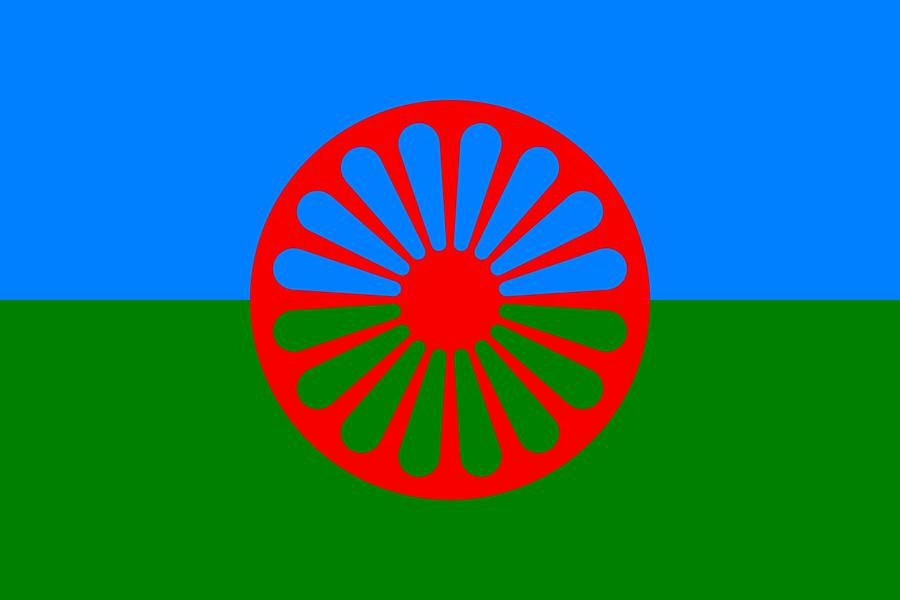 Romská vlajka je mezinárodní vlajkou Romů vytvořená roku 1933 Generální unii rumunských Romů. V roce 1971 byla na prvním Mezinárodním romském sjezdu v Londýně schválena k užívání. Vlajka se skládá z modrého pruhu v horní polovině, zeleného pruhu v polovině dolní a z červené čakry s 16 paprsky umístěné uprostřed. Čakra, která je i na vlajce Indie, odkazuje na indický původ romského národa. Zelený a modrý pruh symbolizují život věčných poutníků po zelené zemi pod blankytnou oblohou.