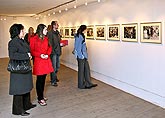 Vernisáž výstav v Egon Schiele Art Centru: Opera v obrazech, Tradiční čínská krajinomalba, Mladí umělci z Číny 2008, Jindřich Štreit a Jiří Surůvka, 4. dubna 2008, foto: © 2008 Lubor Mrázek 