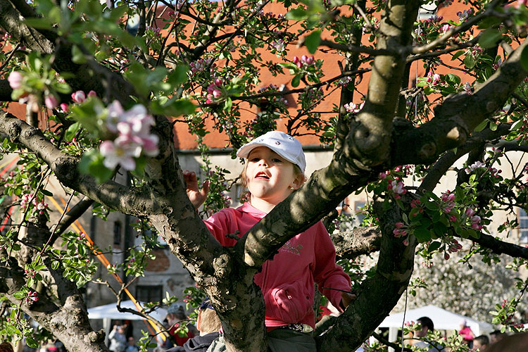 A Bewitched Afternoon for Children, Magical Krumlov Welcomed Springtime, 29th April - 1st May 2008, photo: Lubor Mrázek