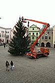 Zdobení vánočního stromu, foto: Jitka Augustinová 