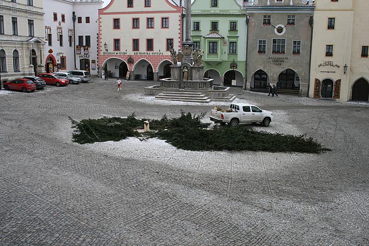 Kácení vánočního stromku