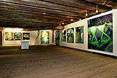 Egon Schiele Art Centrum, Foto: Lubor Mrázek 