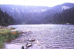 Plešné jezero (Plöckensteinsee) II 