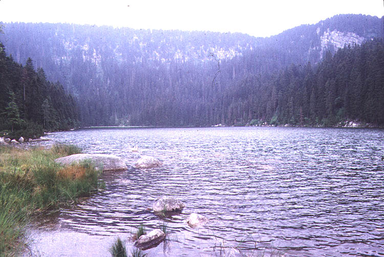 Plešné jezero (Plöckensteinsee) II