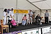 Tag mit Handicap - Tag ohne Barrieren 2009 im Bild 