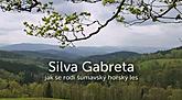 Silva Gabreta - Jak se rodí šumavský horský les ČR (vítězný snímek 2011) 27´ 