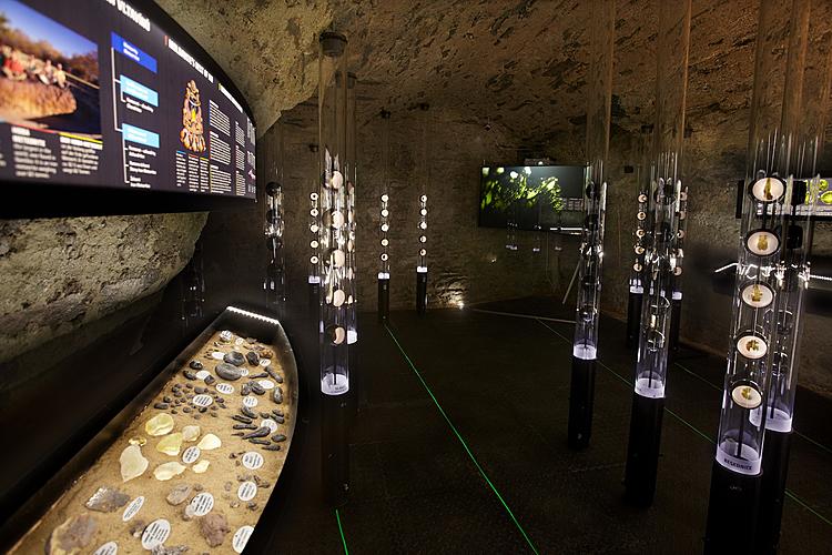 IVýrazným prvkem interieru muzea jsou interaktivně nasvětlené exponáty ve skleněných tubusech reprezentujících nejvýznamnější lokality