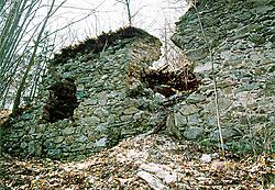 Burg Velešín, Reste des Mauerwerks 