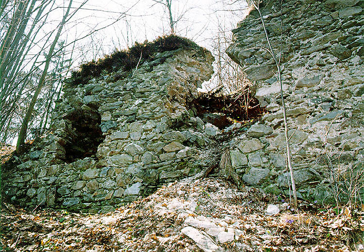 Castle Velešín, remains of walls