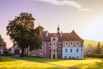 Das Schloss Mitrowicz