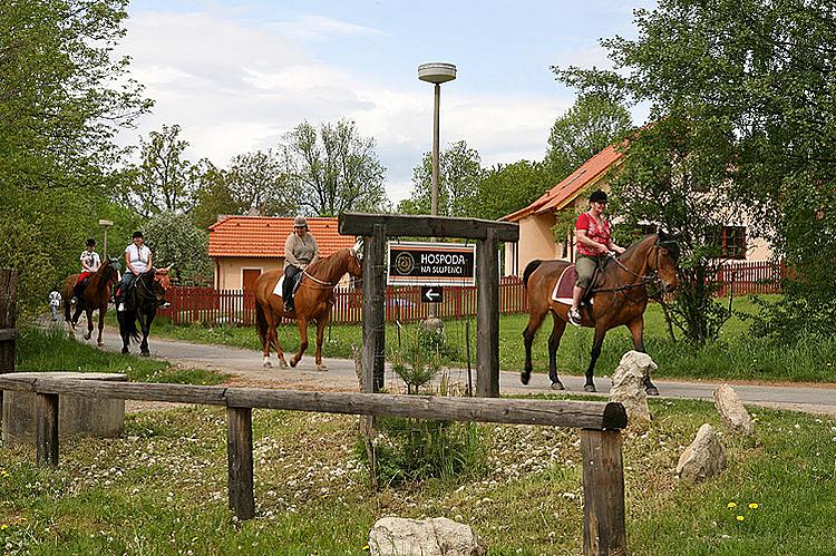 Horseback Riding Club of Slupenec